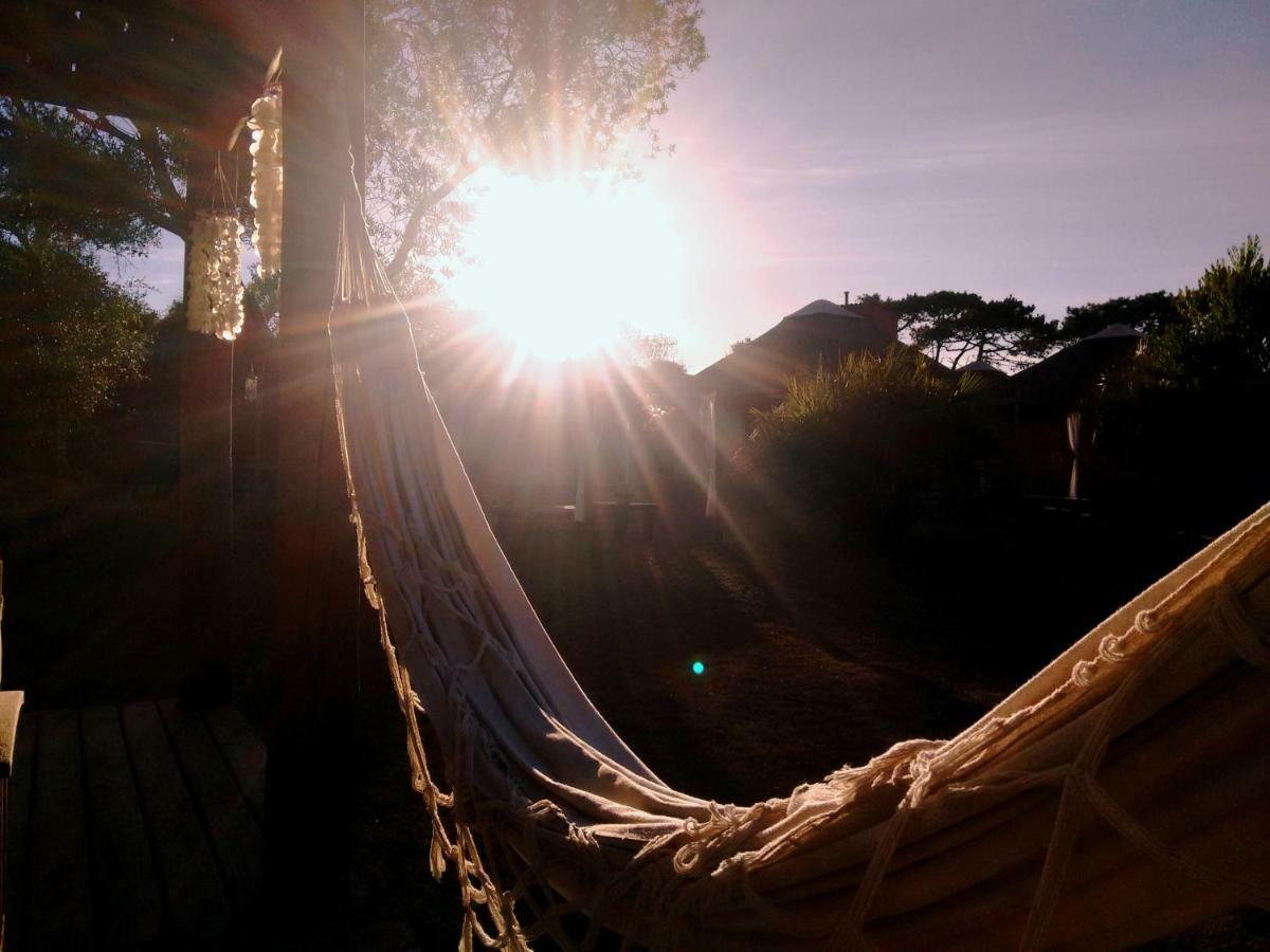 Aloha Village La Pedrera Eksteriør billede